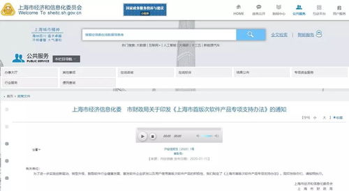 上海市首版次软件产品专项支持办法出台，最高支持200万元助力软件及辅助设备发展